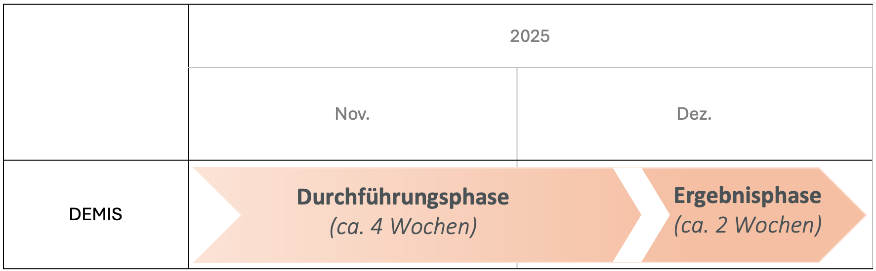 Grafik, die die DEMIS-Pilotierungsphasen als Zeitstrahl abbildet: Die Durchführungsphase von November 2025 bis Mitte Dezember 2025 und die Ergebnisphase von Mitte bis Ende Dezember 2025