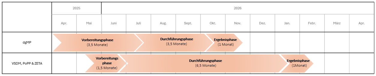 Timeline showing two project tracks (DEMIS and dgMP) across 2025–2026 with orange arrow-shaped phases: DEMIS phases—Vorbereitungsphase (1 Monat), Durchführungsphase (3 Monate), Ergebnisphase (1 Monat); dgMP phases—Vorbereitungsphase (3,5 Monate), Durchführungsphase (3,5 Monate), Ergebnisphase (1 Monat). Arrows indicate sequential phases.